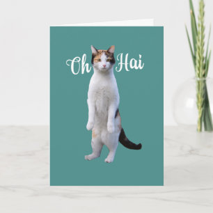 すべての行事さんが"こんにちは”とかわいい立ち猫カード カード