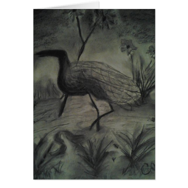 すべての行事のための手描きの写真 (正面)