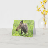 すべての行事のアメリカヘラジカカード カード (黄色い花)