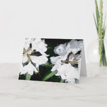 すべての行事の挨拶状(中ブランク)