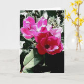 すべての行事の挨拶状(中ブランク) カード (黄色い花)