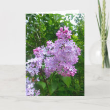 すべての行事の挨拶状(中ブランク)