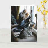 すべての行事の挨拶状-窓の猫 カード (黄色い花)