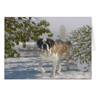 すべての行事のgrettingカード