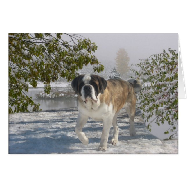 すべての行事のgrettingカード (正面横)