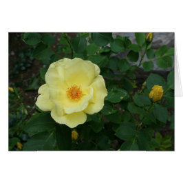 すべての行事カード