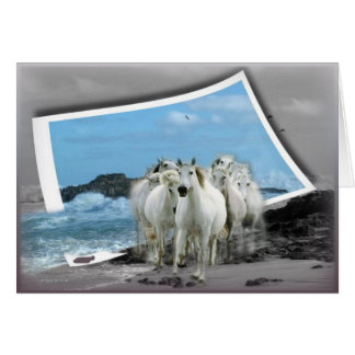 すべての行事カード