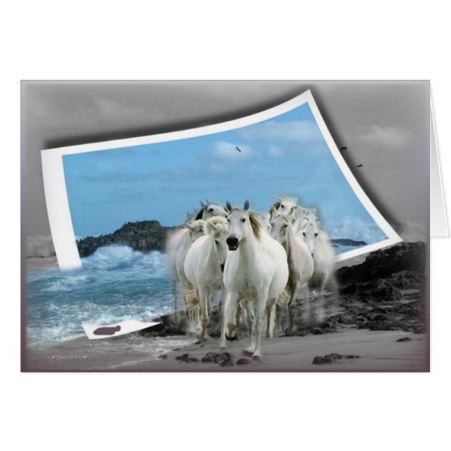 すべての行事カード (正面横)