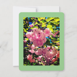 すべての行事カード、サイズ： 4.25インチ×5.5インチ、紙: Matt シーズンカード