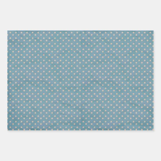 すべての行事ブルーフローラと水玉模様セット3 ラッピングペーパーシート (正面3)