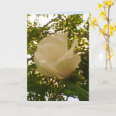 すべての行事ホワイトローズ カード (黄色い花)