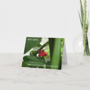 すべての行事悔やみや弔慰 カード