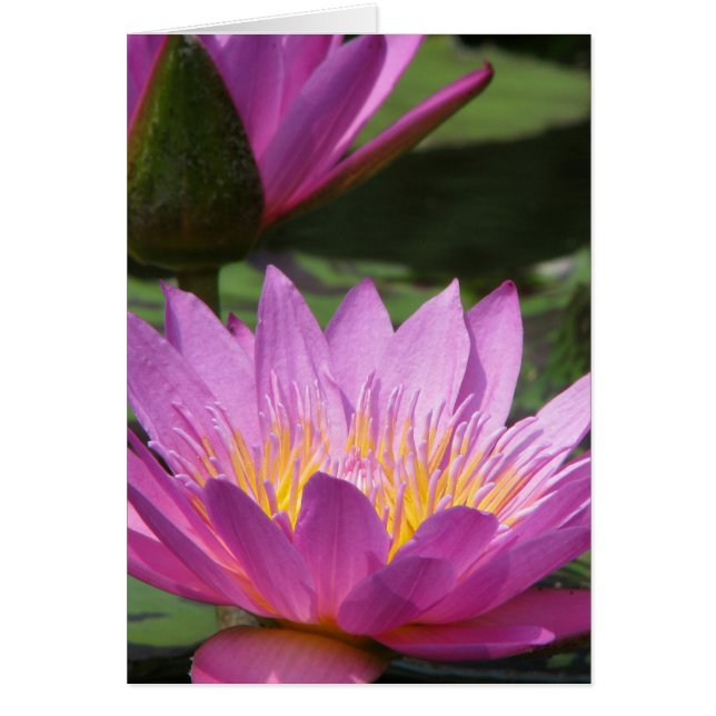 すべての行事 (正面)