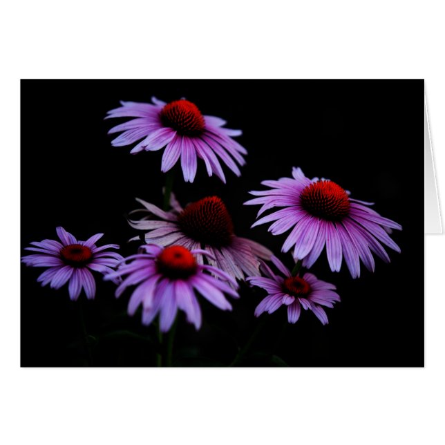 すべての行事 (正面横)