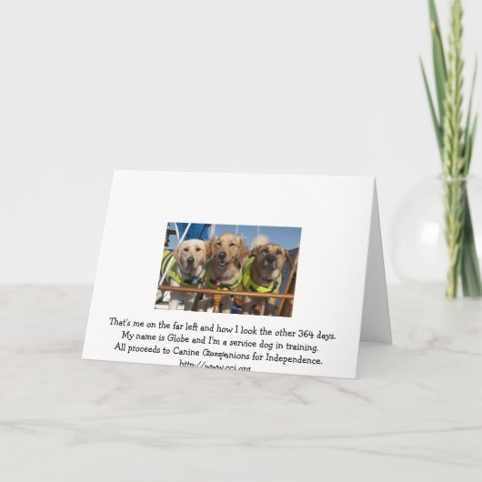 すべての行事 カード (裏面)