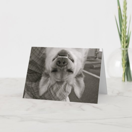 すべての行事 カード (正面)