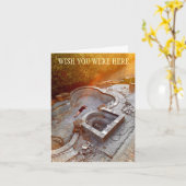 すべての行事 葬式以外。 カード (黄色い花)