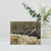 すべての行状はがき ポストカード (スタンド正面)