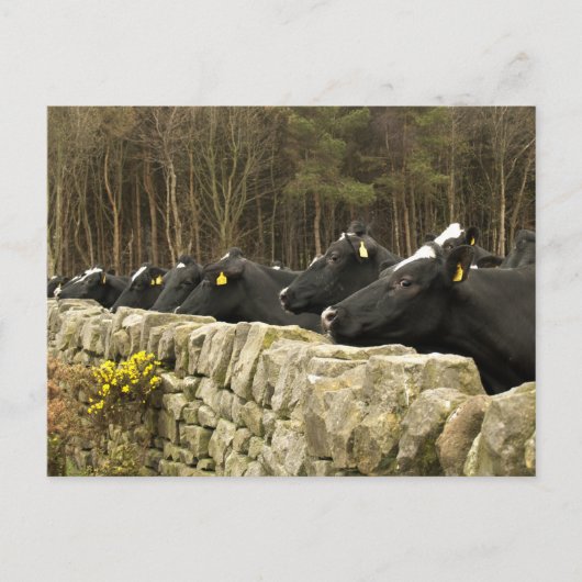 すべての行状はがき ポストカード (正面)