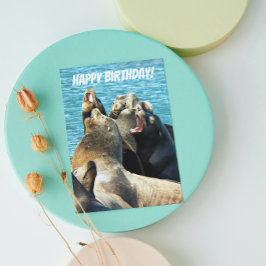 すべての誕生日からアシカの写真 カード
