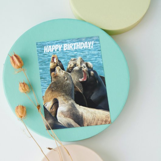 すべての誕生日からアシカの写真 カード