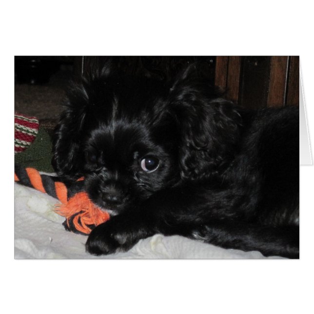 すべての鉱山 (正面横)