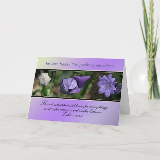 すべての項目に対して指定された時間 カード (正面)