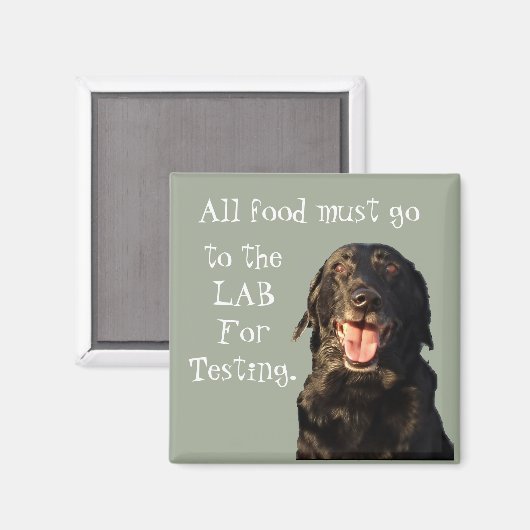 すべての食品はラボの冷蔵庫の磁石に行く必要がある。 マグネット (正面/裏面)