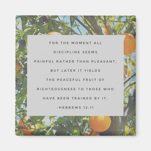 すべてのDisciplineマグネット マグネット (正面)