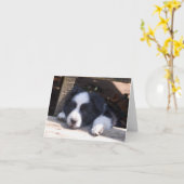 すべてのTuckeredのボーダーコリーの子犬のメッセージカード カード (黄色い花)