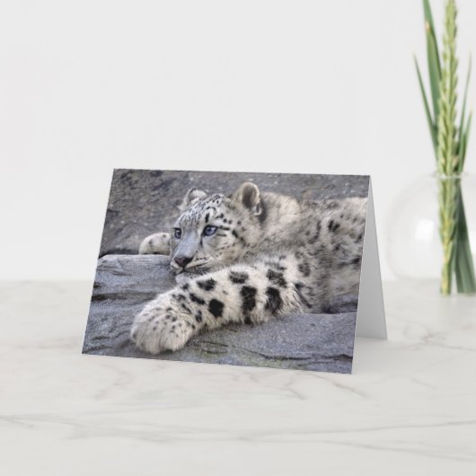 すべてはカードを遊びました カード (正面)