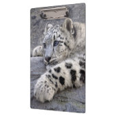 すべてはクリップボードを遊びました クリップボード (左)