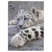 すべてはクリップボードを遊びました クリップボード (裏面)