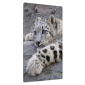 すべてはクリップボードを遊びました クリップボード (右)