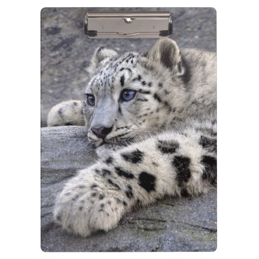 すべてはクリップボードを遊びました クリップボード (正面)