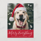 すべてメリーのペットの休日はがき ポストカード (正面)