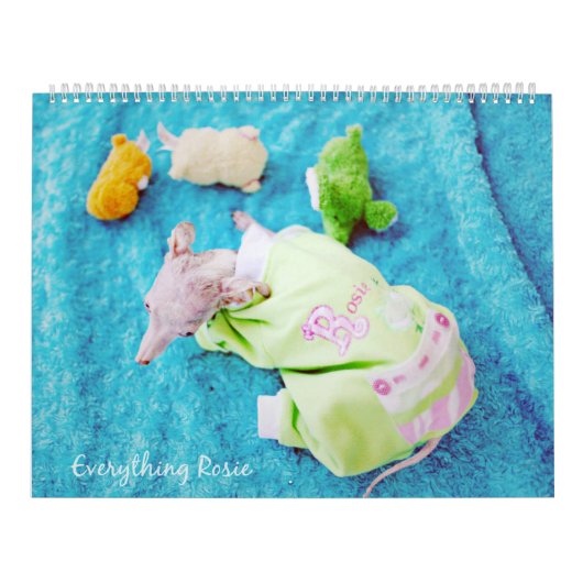 すべてRosieのカレンダー カレンダー (カバー)