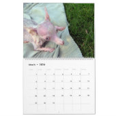 すべてRosieのカレンダー カレンダー (3月 2026)