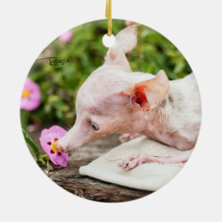 すべてRosieの写真のオーナメント セラミックオーナメント