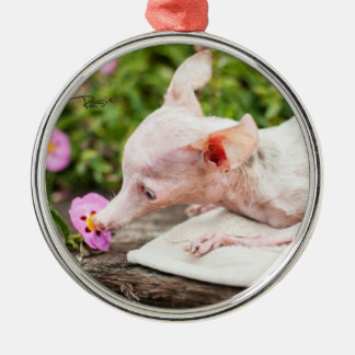 すべてRosieの写真のオーナメント メタルオーナメント