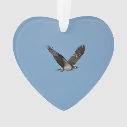 すべるミサゴ オーナメント (裏面)