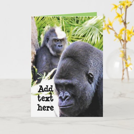 すまない!_ カード (黄色い花)