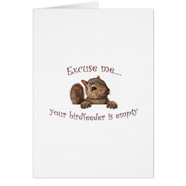 すまない…バーズフィーダが空である (正面)