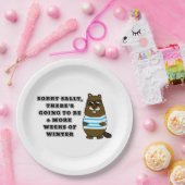 すまんサリー、冬の6週間 ペーパープレート (パーティー)