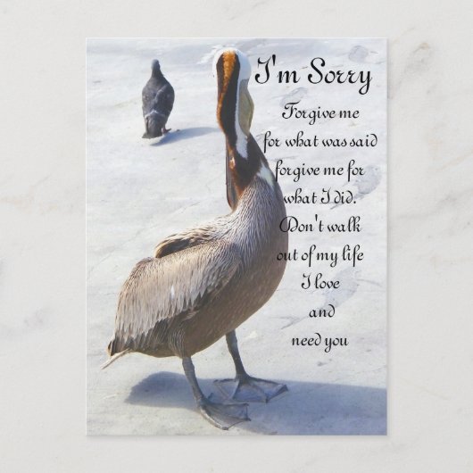 すみません_ ポストカード (正面)