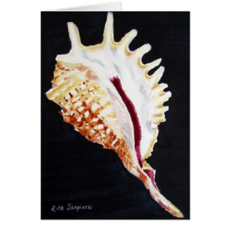 すみれ色のくものコンシュ