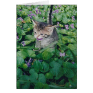 すみれ色のスマイルの虎猫の子ネコ