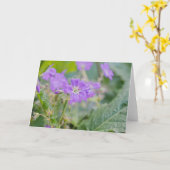 すみれ色の野生の花、ムラサキゲラニウムの花の写真 カード (黄色い花)