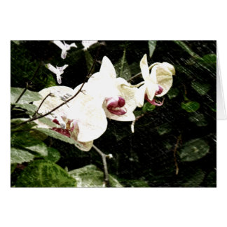 すみれ色カード