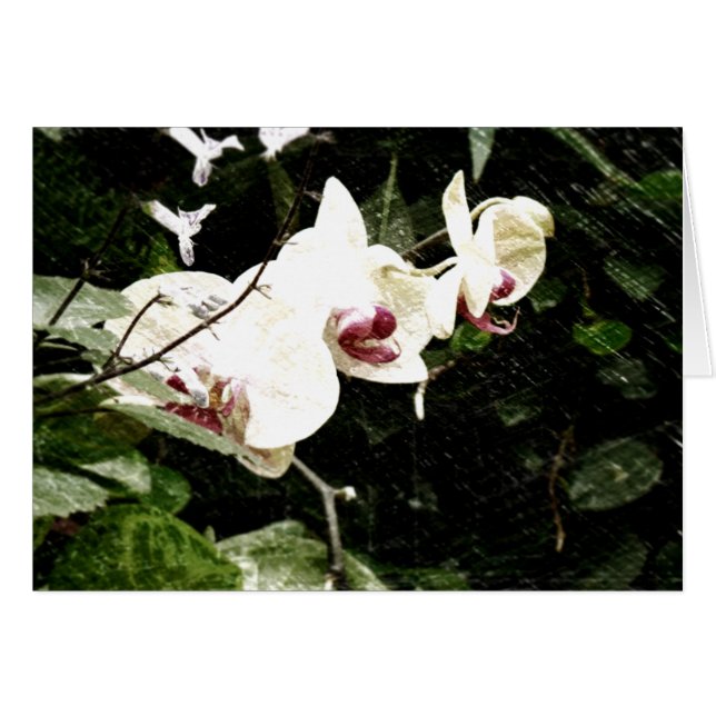 すみれ色カード (正面横)